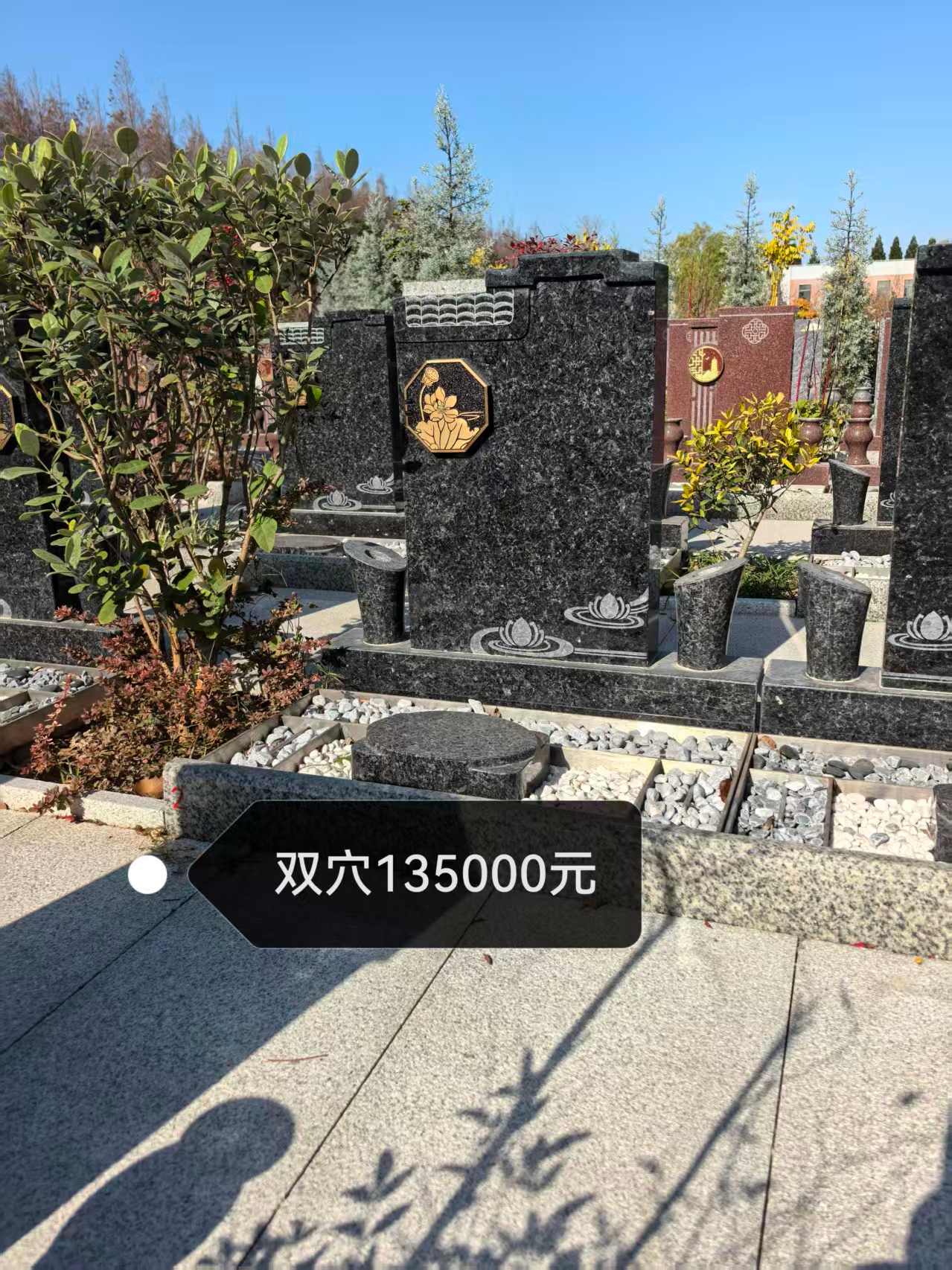 19135532cfgCKz.jpg
